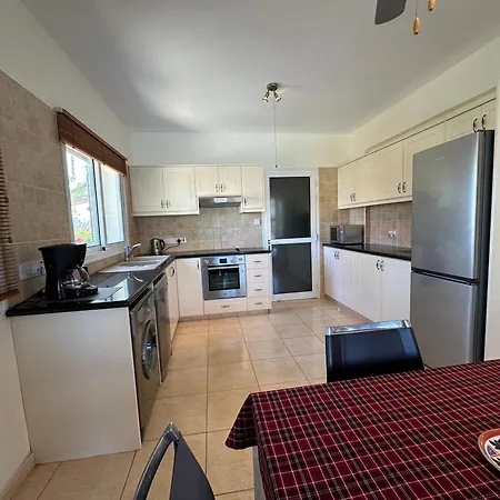 Camelia Нео-Хорио