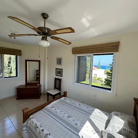 Camelia Нео-Хорио