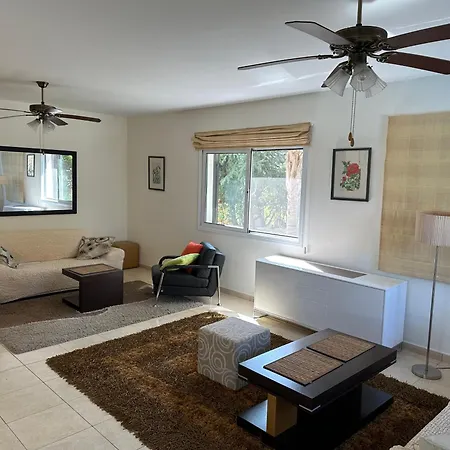 Camelia נאו חוריו