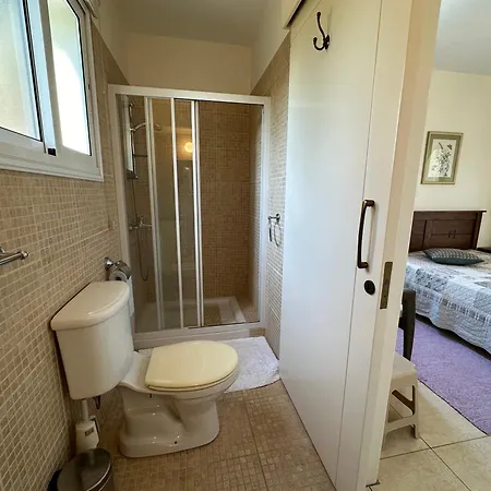 Camelia Нео-Хорио