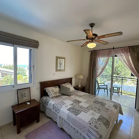 Camelia * נאו חוריו