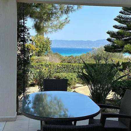 Camelia * Нео-Хорио