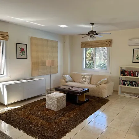 Camelia Нео-Хорио